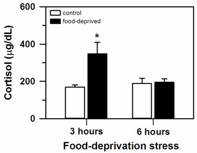 Time-Dependent Changes in Cortisol and Tympanic Temperature Lateralization During Food Deprivation Stress in Marmoset Monkeys